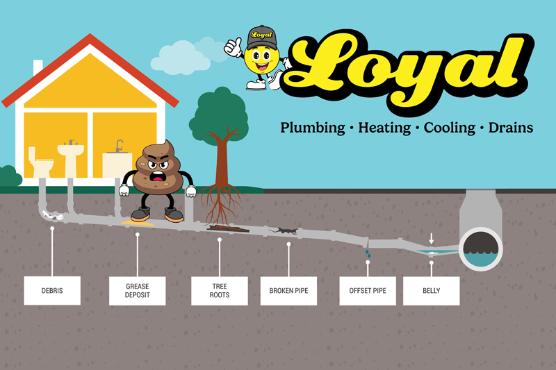 Loyal Plumbing LLC Service Image